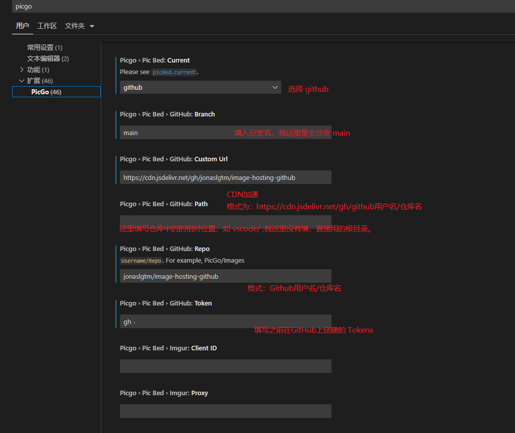 PicGo 在 vsCode 中的设置参数